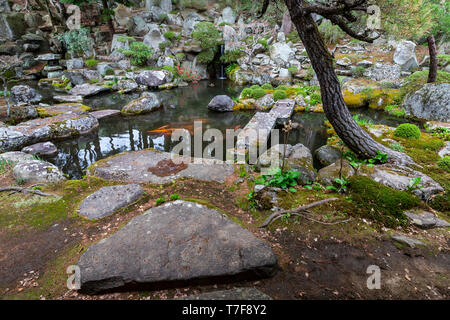 Bupposhoryuji Giardino del Tempio, il lago Suwa - i giardini sono composte in diverse aree che circondano il tempio hall principale. Questi sono i resti del M Foto Stock