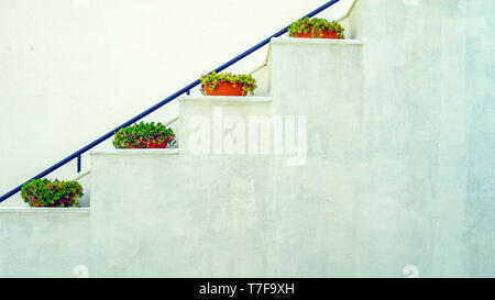 Dipinto di bianco scalinata con vasi di fiori su ogni fase linee geometriche Foto Stock