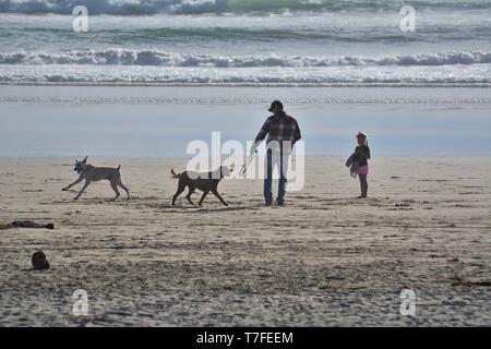 L'uomo e sua figlia sulla spiaggia con due 2 cani Foto Stock