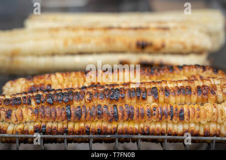 Organico, dolce fritto mais per vendita a una strada a Tbilisi, Georgia, close up Foto Stock