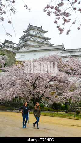 Himeji, Giappone - 10 Apr 2019. La gente di visitare l'antico castello di Himeji (Giappone) durante la fioritura dei ciliegi nel periodo primaverile. Foto Stock