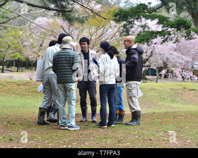 Nara, Giappone - 10 Apr 2019. La gente visita la fioritura dei ciliegi nel Parco di Nara, Giappone. Nara è la vecchia capitale del Giappone, con un sacco di patrimoni culturali. Foto Stock