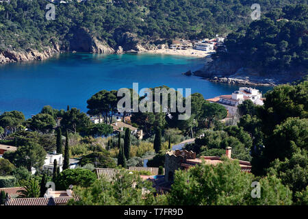 In Spagna, in Catalogna, Costa Brava: Llafranc costa lungo la costa mediterranea. Residences e la spiaggia in una insenatura Foto Stock