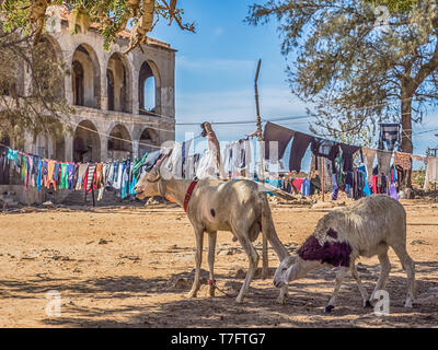 Gorea, Senegal- Febbraio 2, 2019: vita quotidiana sull'isola di Goree. Gorée. Dakar, Senegal. L'Africa. Foto Stock