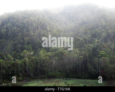 Slash e bruciare l'agricoltura al di sotto di una collina boschiva vicino all'ingresso del Andasibe-Mantadia Parco nazionale del Madagascar. Questa foresta è sotto minaccia pesante Foto Stock