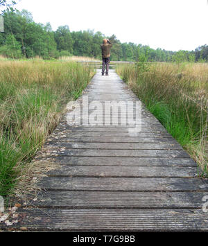 Uomo in piedi su una passerella in Delleboersterheide vicino a Oldeberkoop, Friesland, Paesi Bassi. Guardando gli uccelli in distanza con il binocolo. Foto Stock