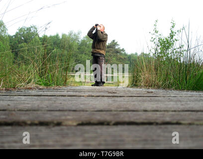 Osservazione degli uccelli in piedi su una passerella in legno nella riserva naturale vicino Delleboersterheide Oldeberkoop, Friesland, nei Paesi Bassi. Birder guardando un p Foto Stock