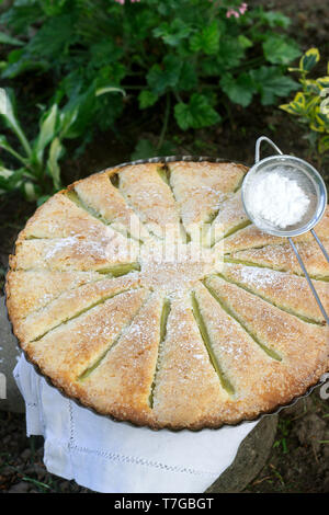 Una grande torta fatta in casa con strisce di rabarbaro in forma di stagno. In stile rustico, il fuoco selettivo. Foto Stock