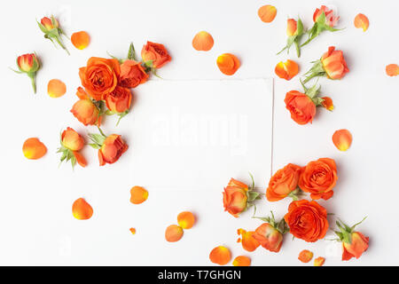 Quadro da rose arancione su sfondo bianco. Lay piatto. Vista superiore Foto Stock