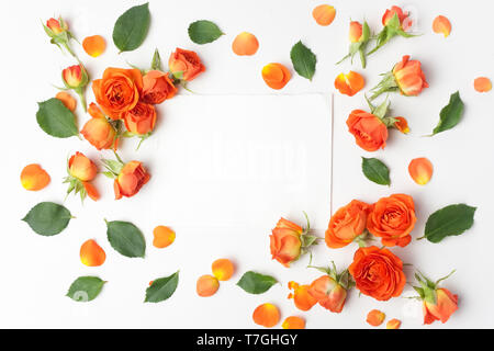 Quadro da rose arancione su sfondo bianco. Lay piatto. Vista superiore Foto Stock