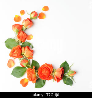 Quadro da rose arancione su sfondo bianco. Lay piatto. Vista superiore Foto Stock