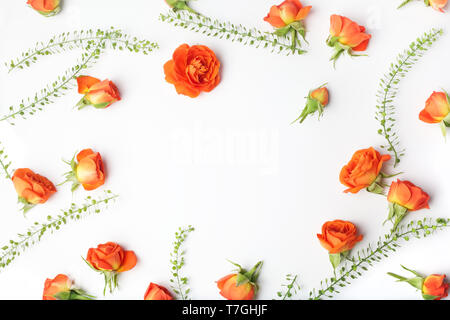 Quadro da rose arancione su sfondo bianco. Lay piatto. Vista superiore Foto Stock