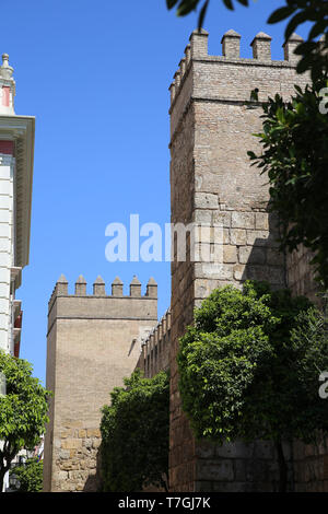 Spagna. Andalusia. Siviglia. Royal Alcazar-pareti. Almohade periodo. Foto Stock