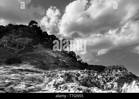 Pini e rocce a San Domino. Isole Tremiti. La puglia. Italia In Italia del sud al nord della Penisola del Gargano (Parco Nazionale del Gargano) ci sono le isole Foto Stock