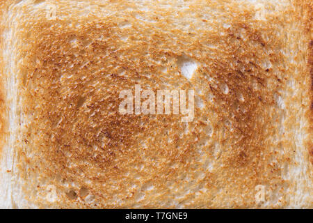Modello di slice sandwich tostato pane. Allergia alimentare. Vista da sopra, vicino. Foto Stock