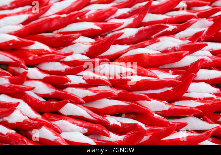 Peperoncini ripieni con pasta di pesce. Comunemente noto come Yong Tau Foo in Malaysia. Foto Stock