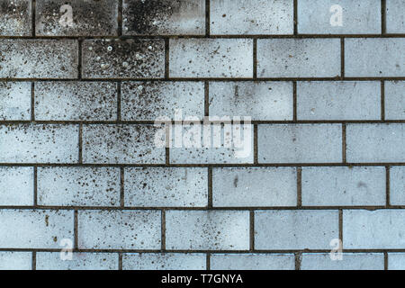 Weathered di pietra arenaria calcarea sullo sfondo di parete come texture grunge Foto Stock