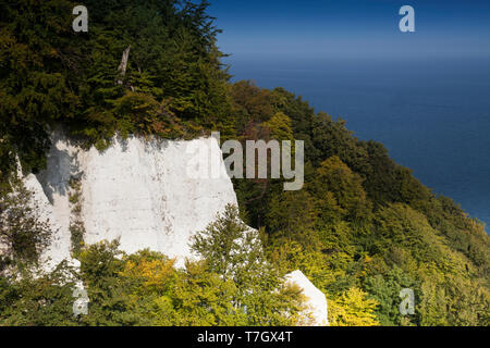 Chalk, scogliere, Baltico, mare ,costa, faggio, grove, UNESCO World Heritage Site,, Jasmund, Nazionale, Parco, Isola, Ruegen,,Meclemburgo Pomerania occidentale, Foto Stock