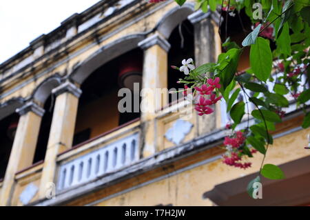 Belle vecchie case in antica città di Hoi An Foto Stock