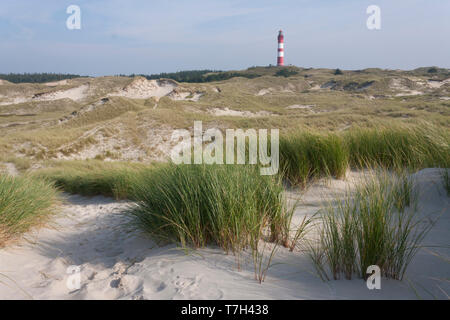 Dune sulla costa del Mare del Nord sulla isola di Wadden Amrum, Germania. Foto Stock