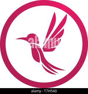 Icona Hummingbird logo e simboli vettoriali del modello Illustrazione Vettoriale
