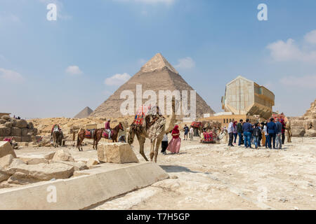 Giza, Egitto - 19 Aprile 2019: un cammello di fronte la piramide di Khafre, Egitto Foto Stock