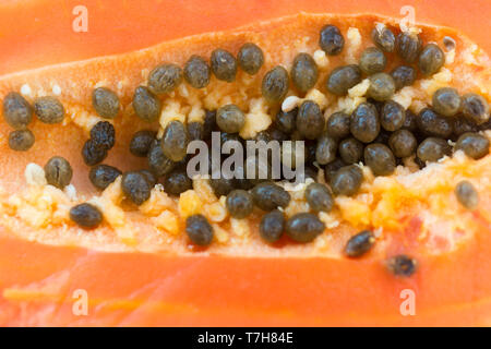 Orange papaia fresca semi. La fotografia macro. Sfondo di frutta. Foto Stock