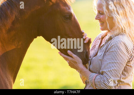 Sport iberica cavallo. Andrea Jaenisch fondling una baia puledro su un pascolo. Germania Foto Stock