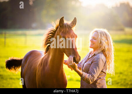 Sport iberica cavallo. Andrea Jaenisch fondling una baia puledro su un pascolo. Germania Foto Stock