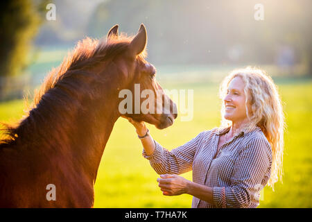 Sport iberica cavallo. Andrea Jaenisch fondling una baia puledro su un pascolo. Germania Foto Stock