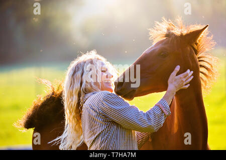 Sport iberica cavallo. Andrea Jaenisch fondling una baia puledro su un pascolo. Germania Foto Stock