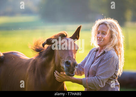 Sport iberica cavallo. Andrea Jaenisch fondling una baia puledro su un pascolo. Germania Foto Stock