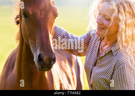 Sport iberica cavallo. Andrea Jaenisch fondling una baia puledro su un pascolo. Germania Foto Stock