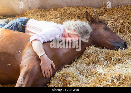 Sport iberica cavallo. Andrea Jaenicke e bay puledro in appoggio insieme in una stalla. Germania Foto Stock