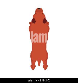 Cane alto vista icona vettore di immagine PET. cute animale amico cucciolo cartoon silhouette. Brown piatto amicizia domestico Illustrazione Vettoriale