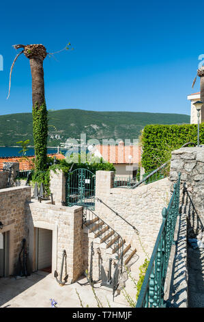 Herceg Novi, Montenegro Foto Stock
