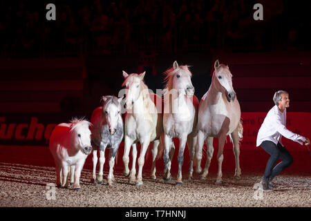 Jean-Francois Pignon mostrante una liberty dressage con cavalli grigio Foto Stock