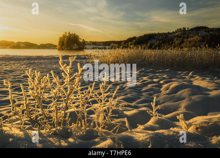 Rive del lago Jonsvatnet e arancio, luce calda del tardo pomeriggio. Area di Trondheim in Norvegia. Un fantastico inizio inverno. Foto Stock