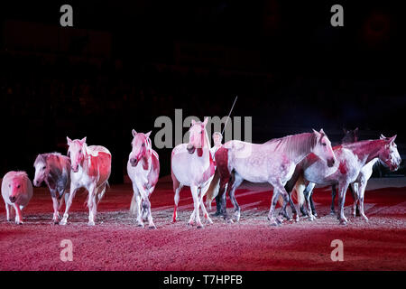 Jean-Francois Pignon mostrante una liberty dressage con cavalli grigio Foto Stock