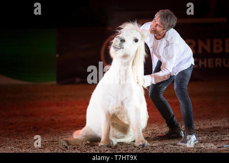 Jean-Francois Pignon mostrante una liberty dressage con un pony Shetland Foto Stock