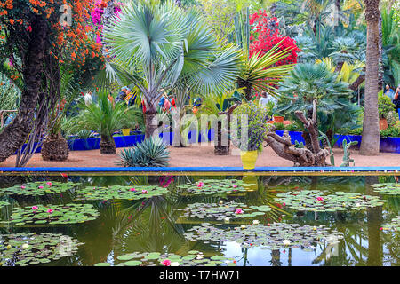 Il Giardino Majorelle è un giardino botanico e artista giardino paesaggistico di Marrakech, Marocco. 18 aprile 2019 Foto Stock