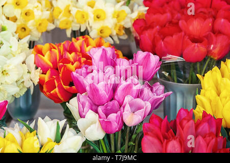Bellissimo bouquet di tulipani nel negozio di fiori Foto Stock