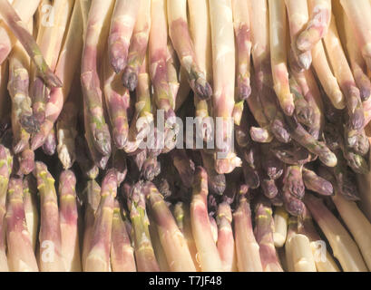 Asparagi bianchi al fruttivendolo su un mercato francese Foto Stock