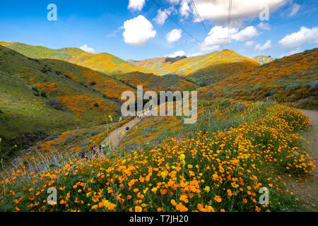 Il lago di Elsinore, California - Marzo 22, 2019: turisti ed escursionisti a piedi lungo il sentiero del Viandante Canyon durante il papavero superbloom millefiori Foto Stock