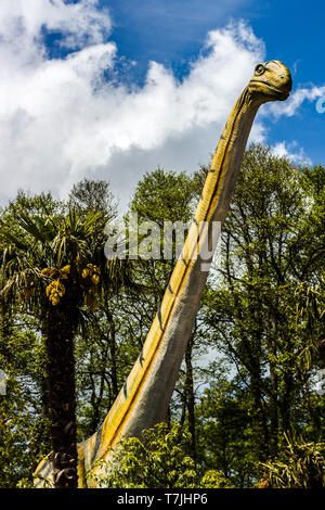 Diplodocus si vede in alto sopra gli alberi. Foto Stock