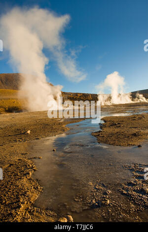 Acqua congelata e fumarole ad una altitudine di 4300m, El Tatio geyser, il deserto di Atacama, Regione di Antofagasta, Cile, Sud America Foto Stock