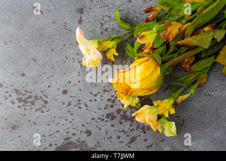 Vista dall'alto di un mazzo di fiori di avvizzimento con una sola rosa gialla su sfondo grigio illuminato con luce naturale. Foto Stock