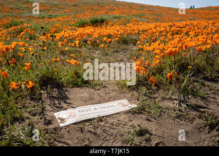 Segno di visitatori di avvertimento di una zona che non è un sentiero nella Antelope Valley Riserva di papavero in California Foto Stock