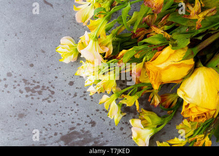 Top vista ravvicinata di un mazzo di fiori di avvizzimento con rose giallo su sfondo grigio illuminato con luce naturale. Foto Stock