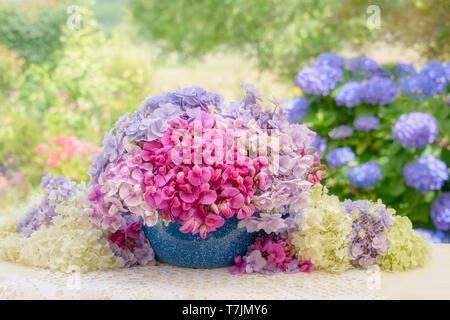 Bouquet colorato di rosa veccia Vicia fiori in un vecchio smalto blu ciotola con ortensie fiorisce in un paese giardino su un giorno estivo Foto Stock